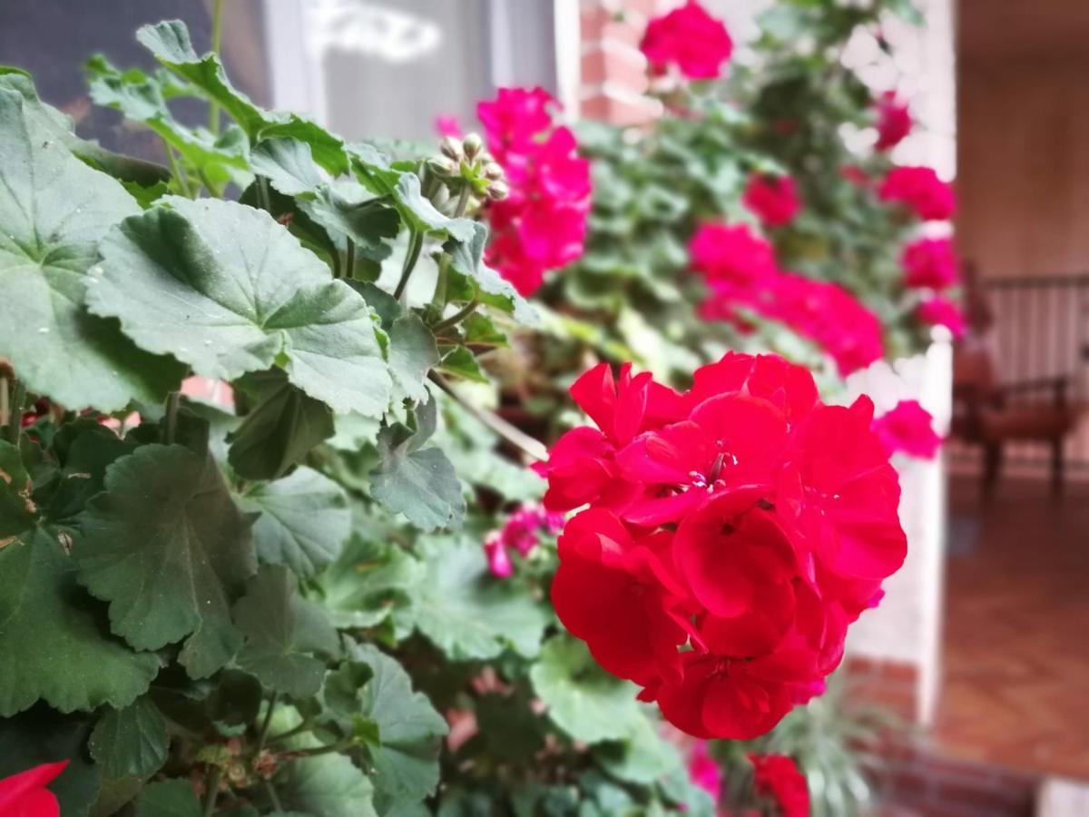 Leggieri Siria Bed & Breakfast